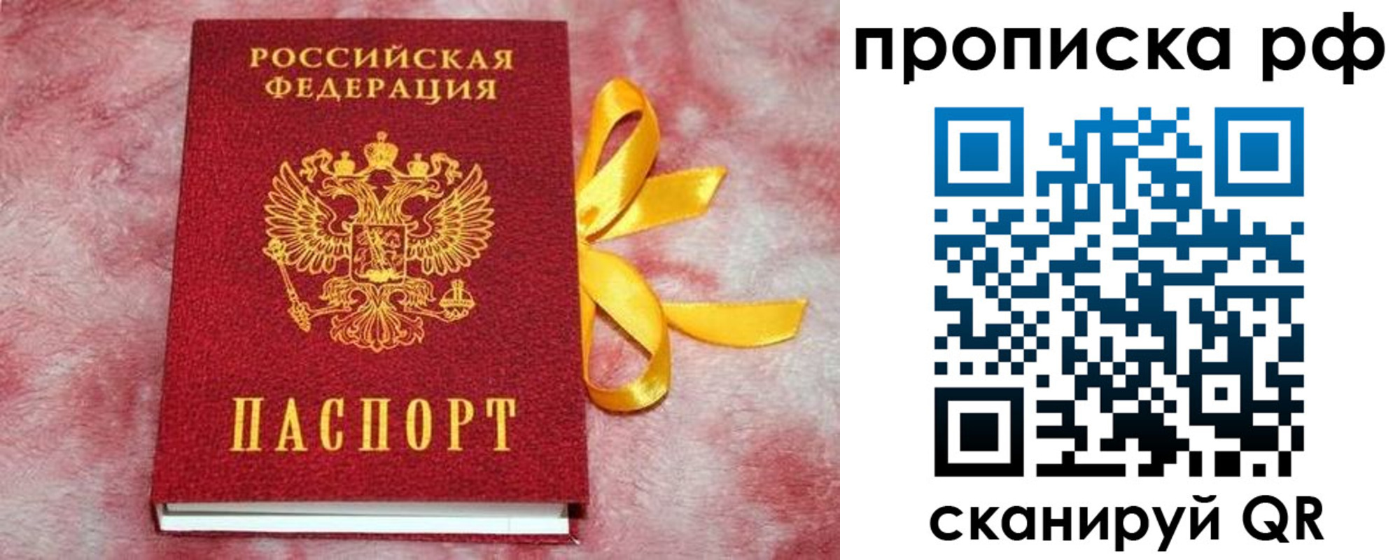прописка для работы в Купино